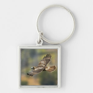 Red-tailed Hawk Keychain