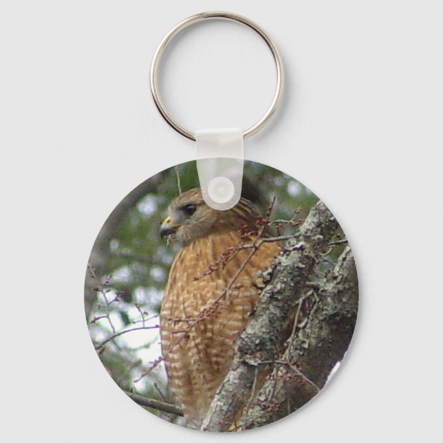 Red Tailed Hawk Keychain (Front)
