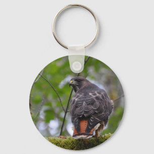 Red-Tailed Hawk Keychain