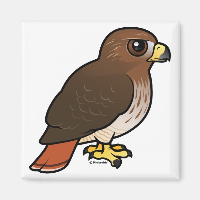 Red-tailed Hawk Magnet (Front)
