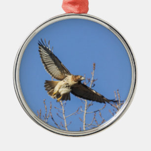 Red-tailed Hawk Metal Ornament
