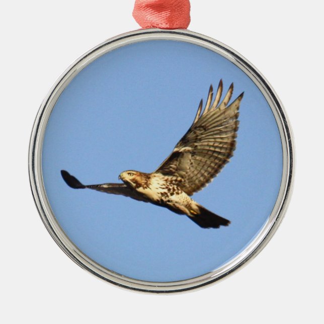 Red-tailed Hawk Metal Ornament (Front)