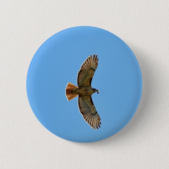 Red-Tailed Hawk Photo 2 Inch Round Button (Front)