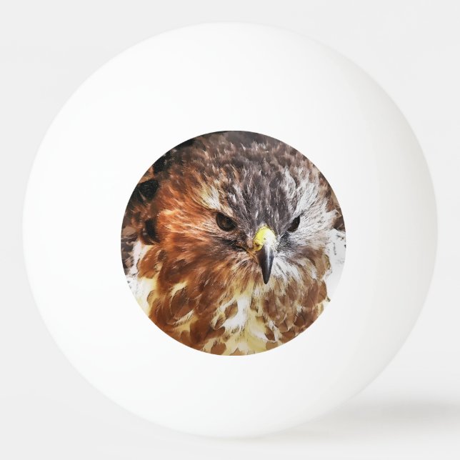 RED TAILED HAWK PING PONG BALL (Front)
