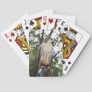 Red-Tailed Hawk Playing Cards