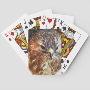 RED TAILED HAWK PLAYING CARDS