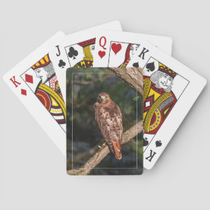Red-tailed Hawk Playing Cards
