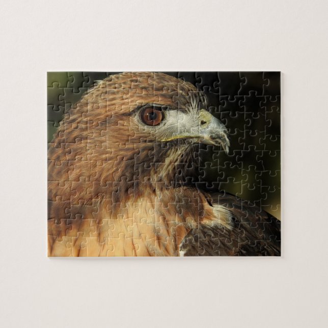 Red Tailed Hawk Puzzle (Horizontal)