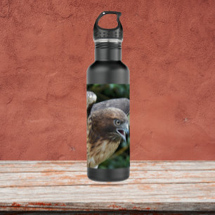 Red-tailed Hawk Raptor Photo 710 Ml Water Bottle