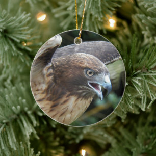 Red-tailed Hawk Raptor Photo Holiday Ceramic Ornament