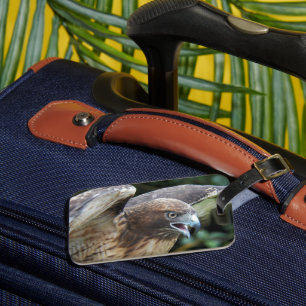 Red-tailed Hawk Raptor Photo Luggage Tag