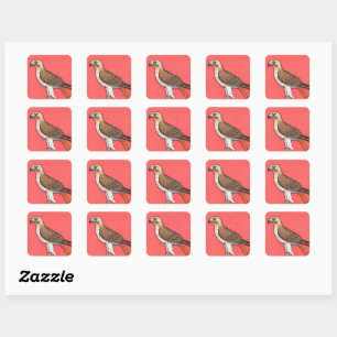 Red-Tailed Hawk Square Sticker