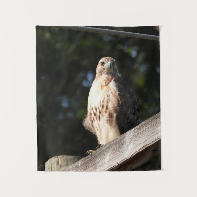 Red Tailed Hawk Tapestry - small (Front)