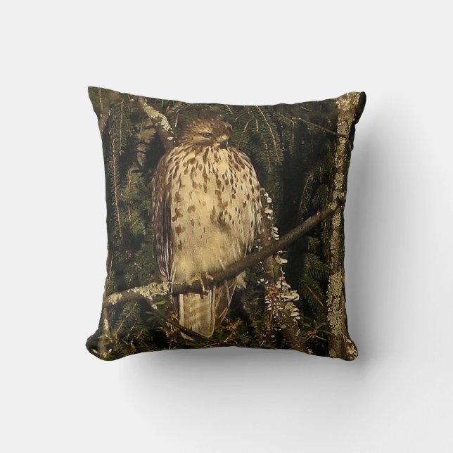 Red Tailed Hawk Throw Pillow (Front)
