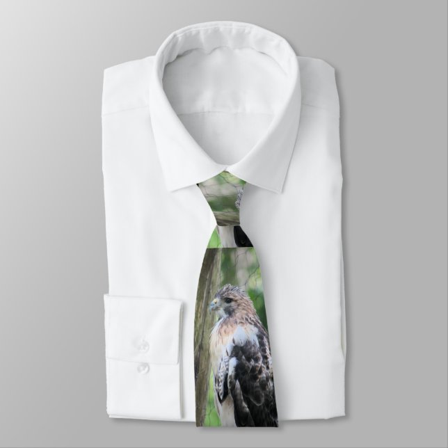 Red tailed hawk tie (Tied)