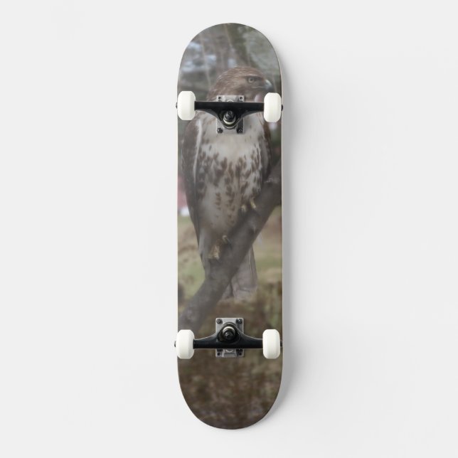 Red-tailed Hawk Tree Branch Skateboard (Front)