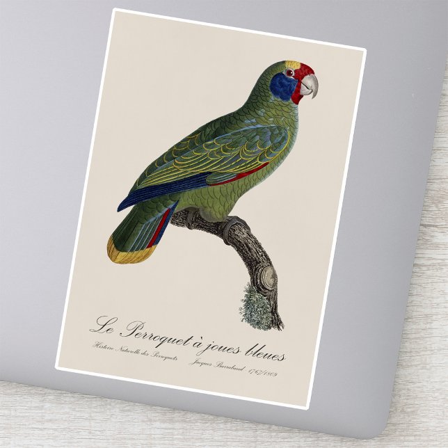 Red-Tailed Parrot Amazon, Amazona Brasiliensis (Red-Tailed Parrot Amazon, Amazona Brasiliensis. Sticker)