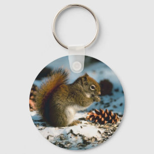 Red Tailed Squirrel Keychain