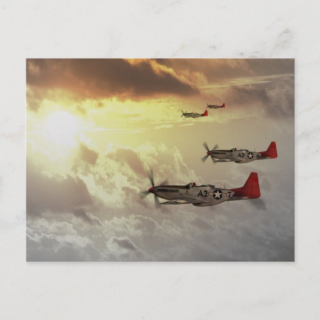 Red Tails.jpg Postcard (Front)