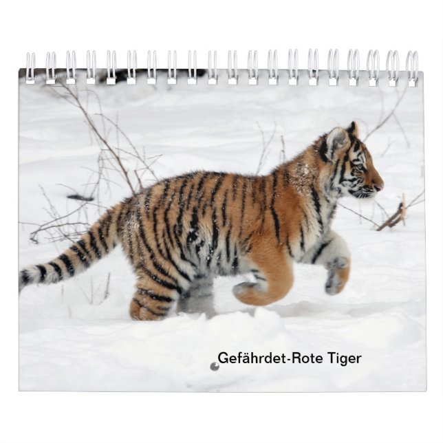 Red Tiger as a Calendar (Cover)