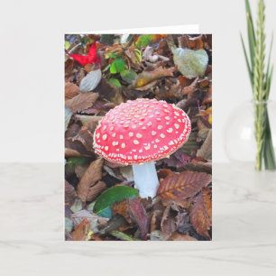 Red toadstool holiday card
