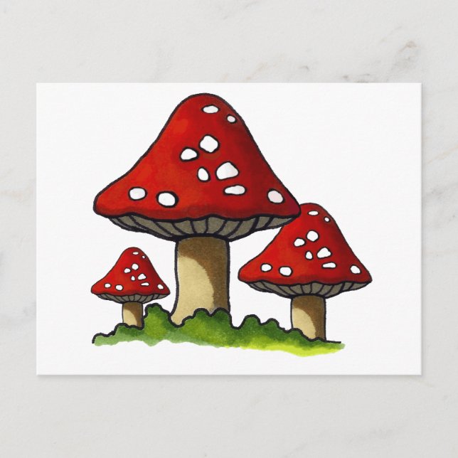 Red Toadtstools, Mushroom: Freehand Art Postcard (Front)