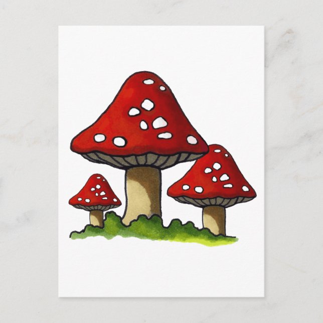 Red Toadtstools, Mushroom: Freehand Art Postcard (Front)