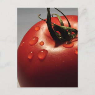 RED TOMATO FRESH FRUITS VEGETABLES HEALTHY YUMMY POSTCARD