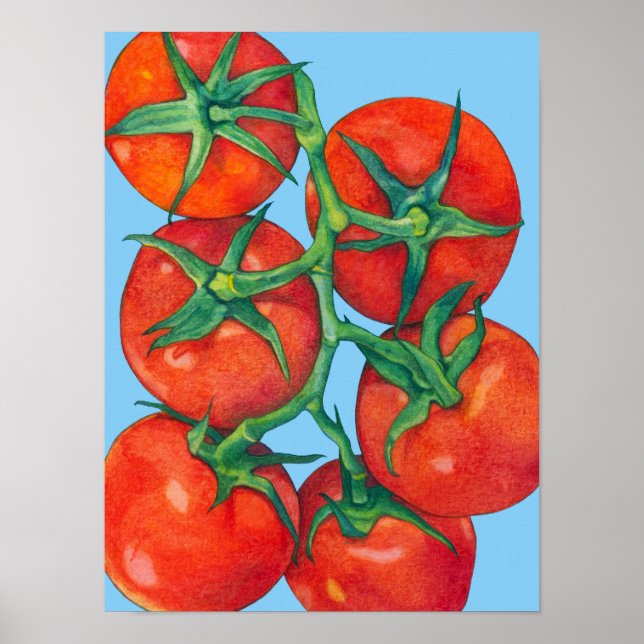 Red Tomatoes blue Poster (Front)