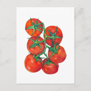 Red Tomatoes Postcard