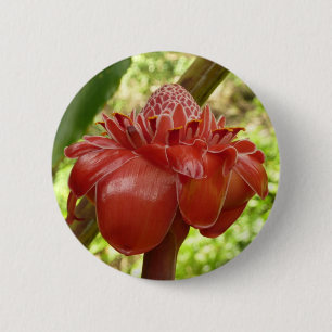 Red Torch Ginger Tropical Flower Photography 2 Inch Round Button