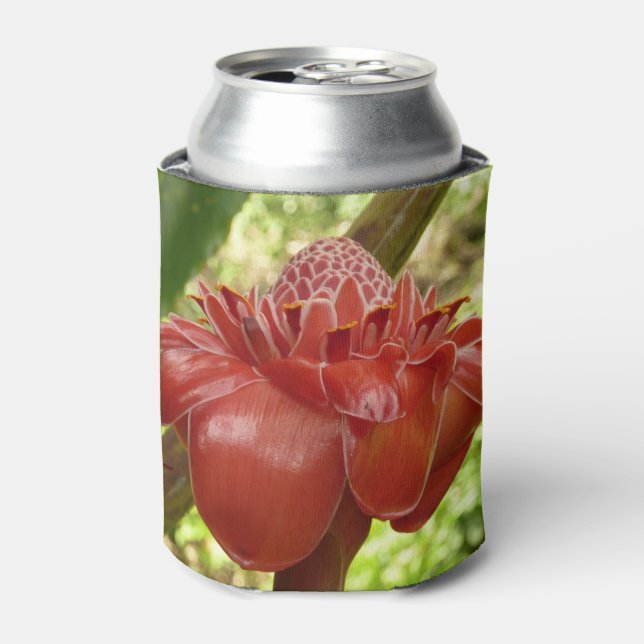 Red Torch Ginger Tropical Flower Photography Can Cooler (Can Front)