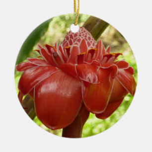 Red Torch Ginger Tropical Flower Photography Ceramic Ornament