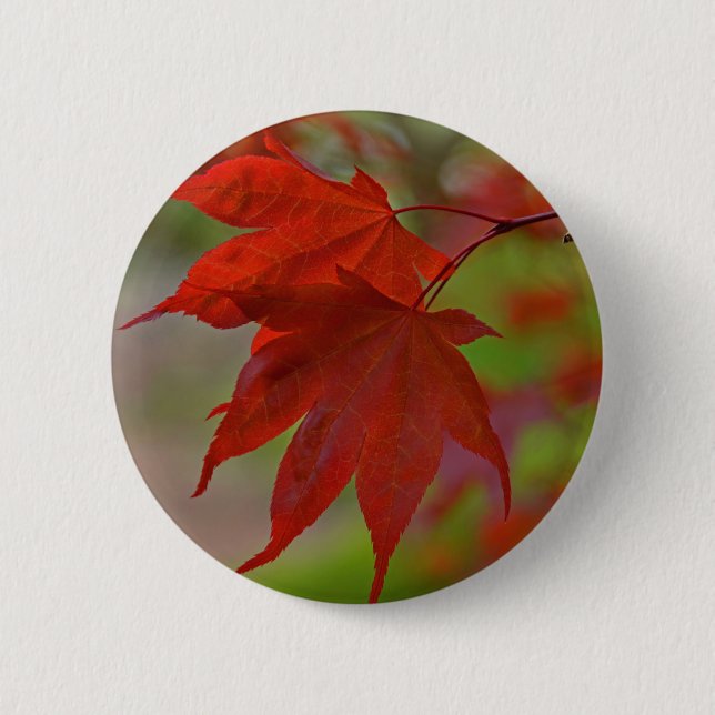 Red Tree Leaves 2 Inch Round Button (Front)