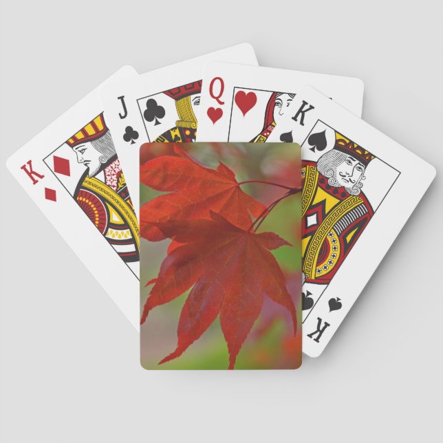 Red Tree Leaves Playing Cards (Back)