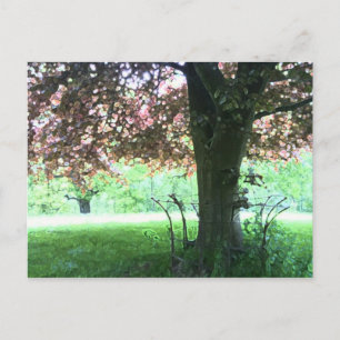 Red Tree Postcard