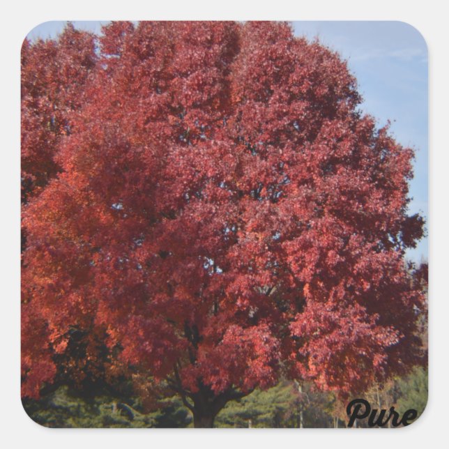 Red Tree Stickers (Front)