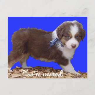 Red Tri Aussie Puppy Invitation