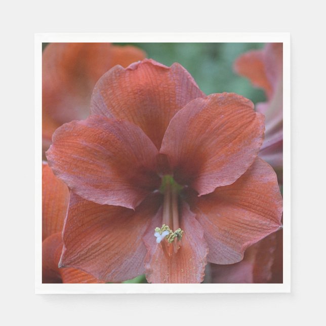 Red Tropical Flower Napkin (Front)
