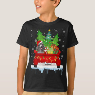 Red Truck Merry Christmas Tree Xmas Poodle Dog T-Shirt