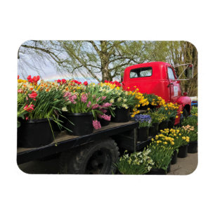 Red Truck with Spring Flowers & Rainbow Magnet