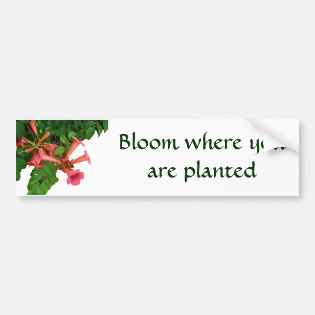 Red Trumpet Vine Bumper Sticker (Front)