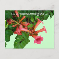 Red Trumpet Vine Housewarming Invitation