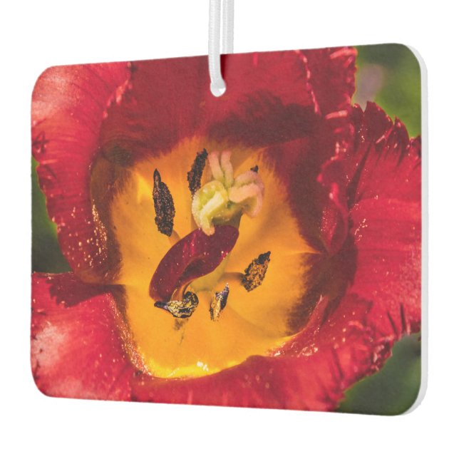 Red tulip air freshener (Left)