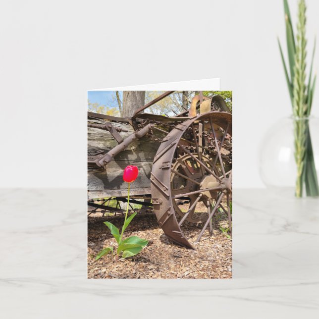 Red Tulip and Old Wagon Thank You Card (Front)