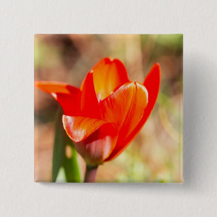 Red Tulip Blossom 2 Inch Square Button