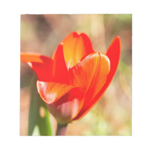 Red Tulip Blossom Notepad