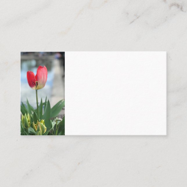 Red Tulip Business Cards (Front)