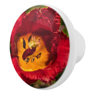 Red tulip ceramic knob