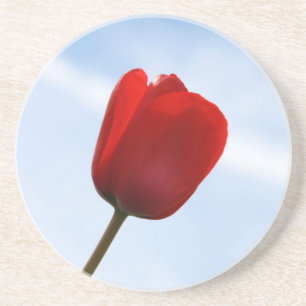 Red Tulip Coaster